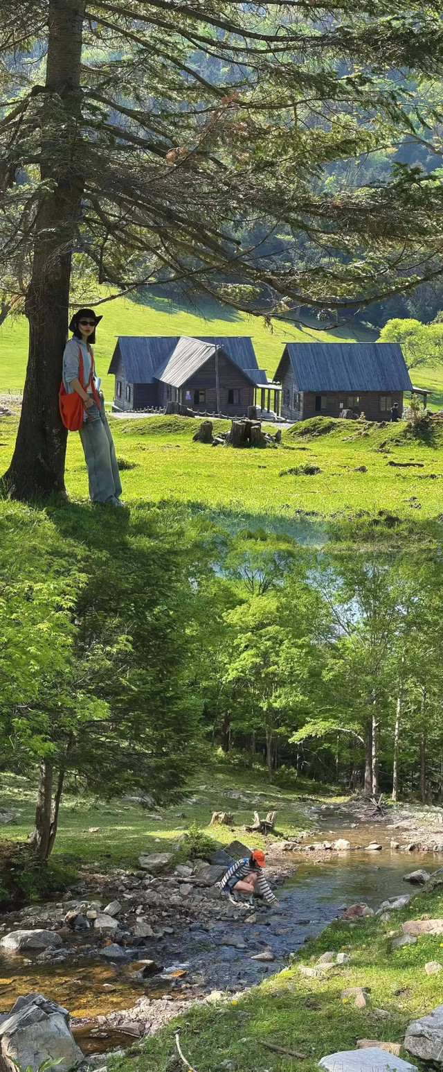 吉林仙人谷森林公园