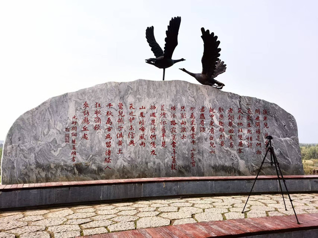 雁丘