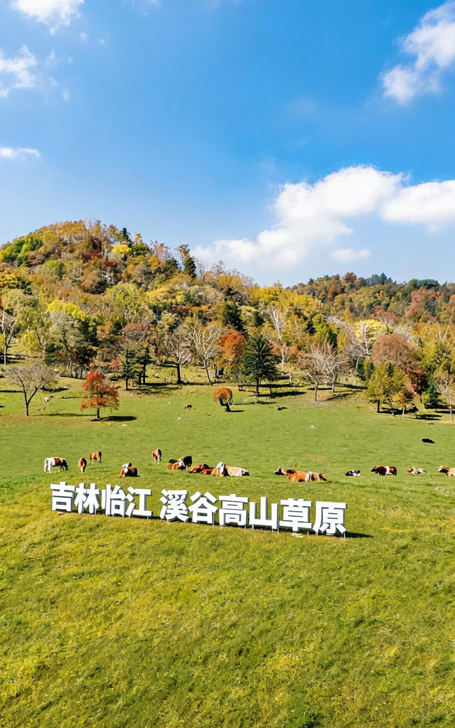 花山镇