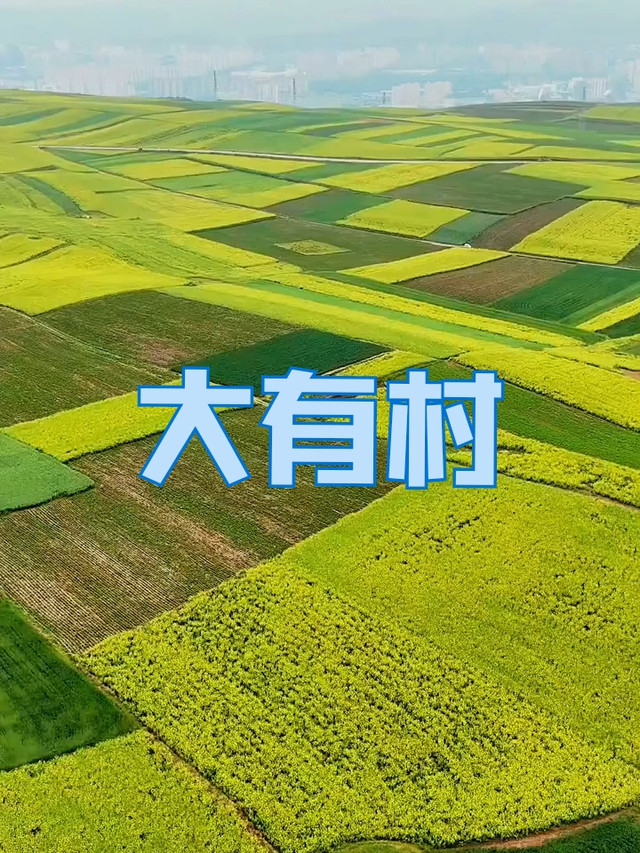 大有山咀