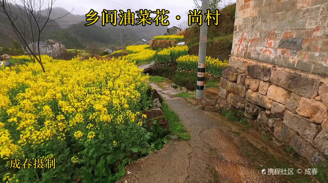 尚村镇