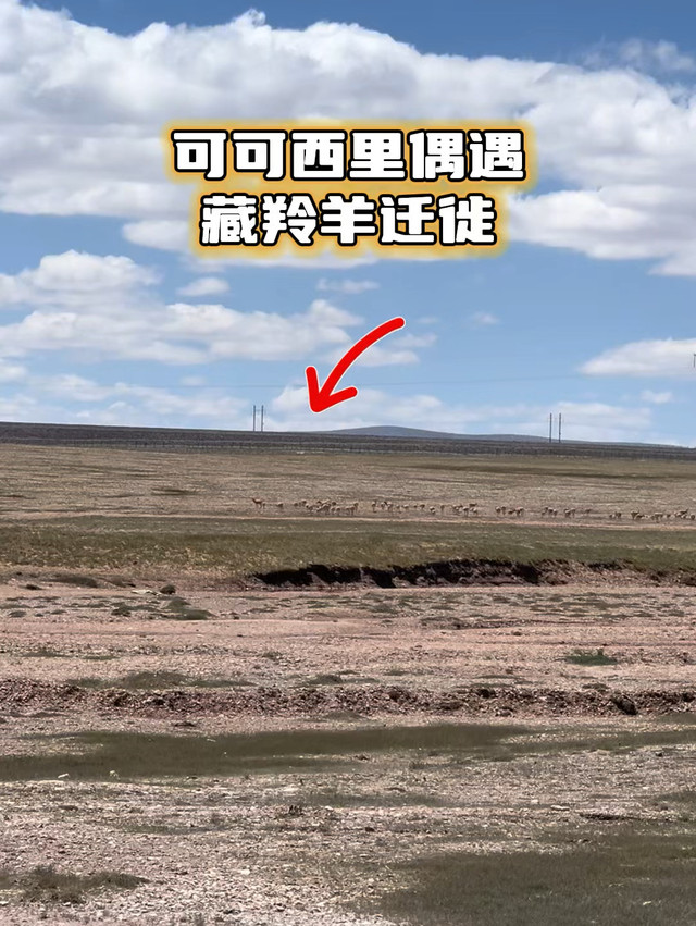 可可西里国家级自然保护区五道梁保护站