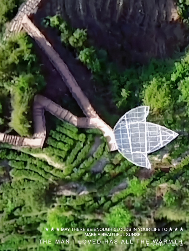 黄金村