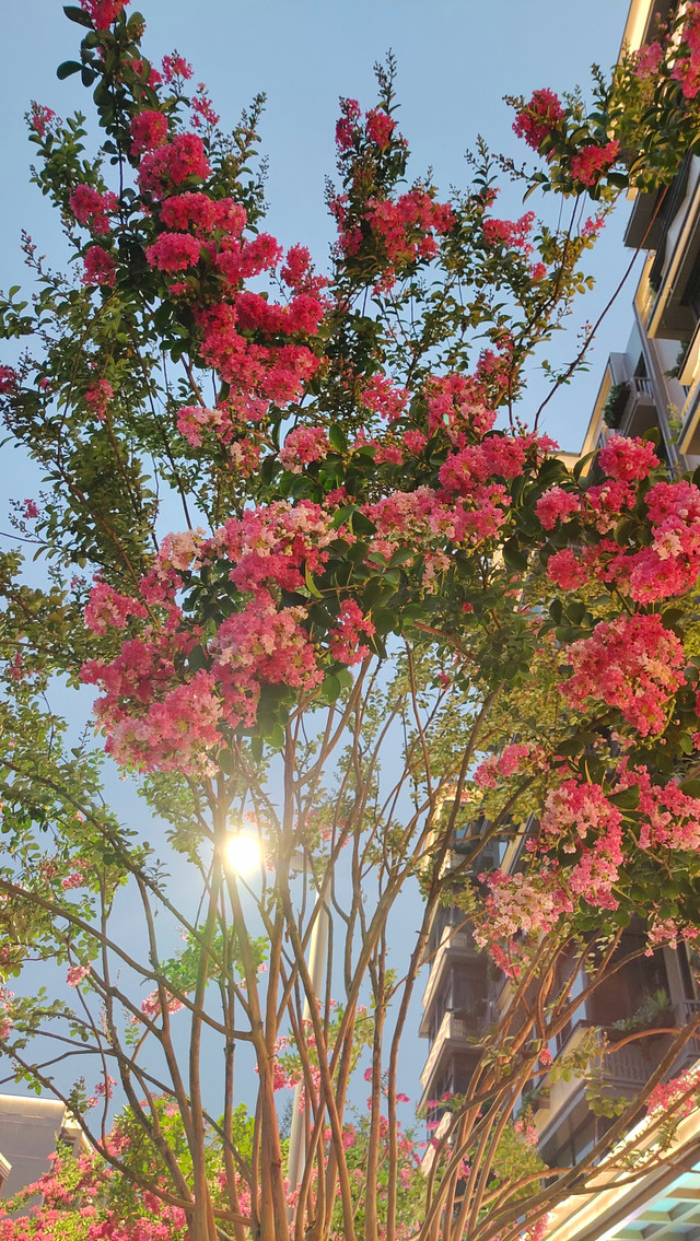 四川省成都市玉林中学