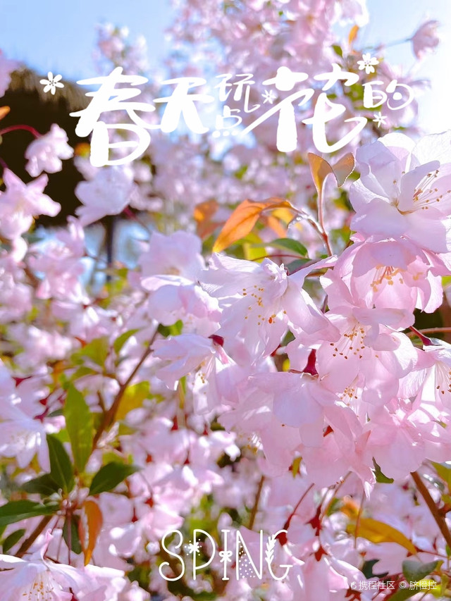 北郭西村