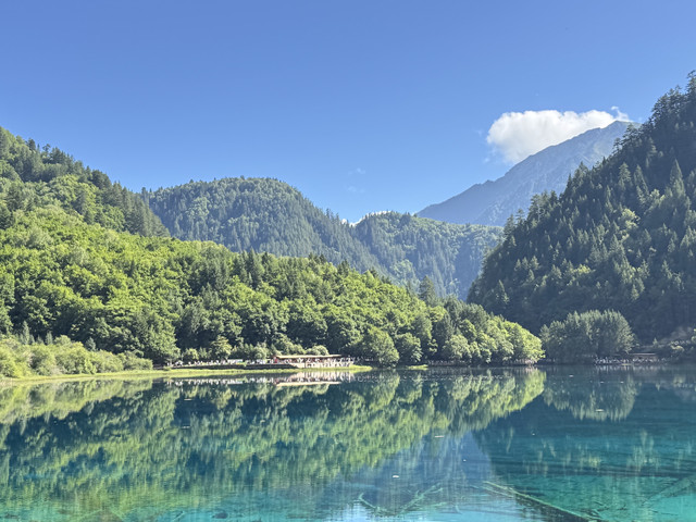 九寨风景区树正寨观景台(高视角)