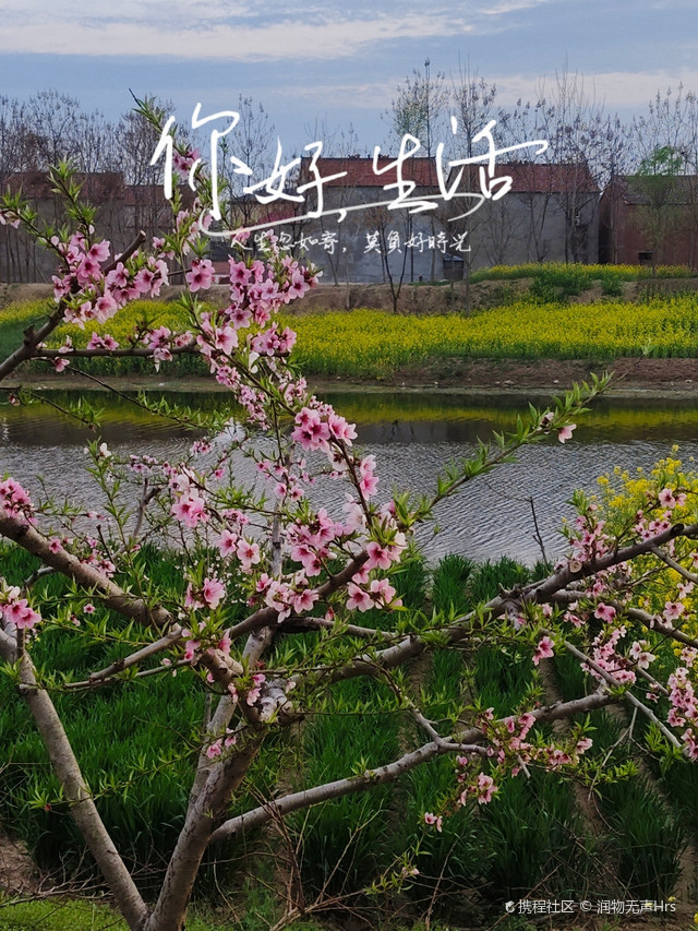 任集乡