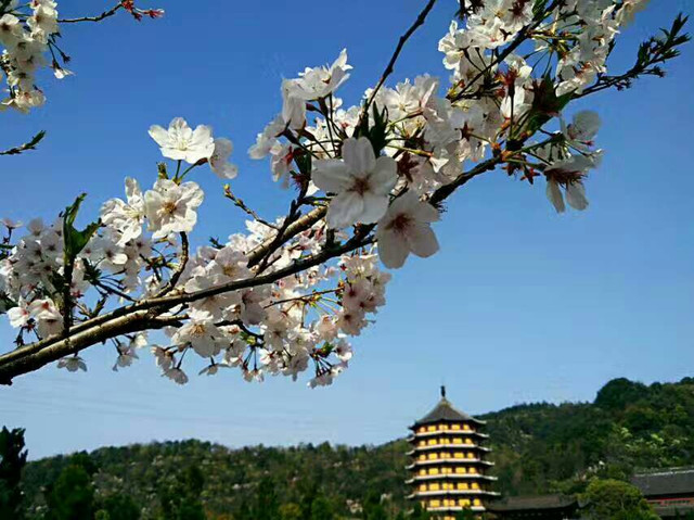 会稽山