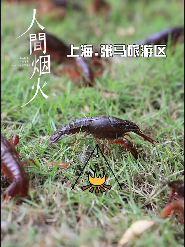 上海张马景区
