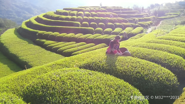 宅中乡