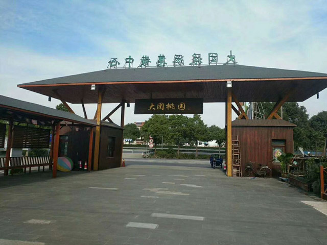 大团镇