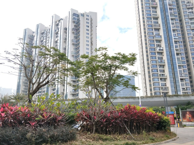 鼓浪屿厦门国际邮轮中心