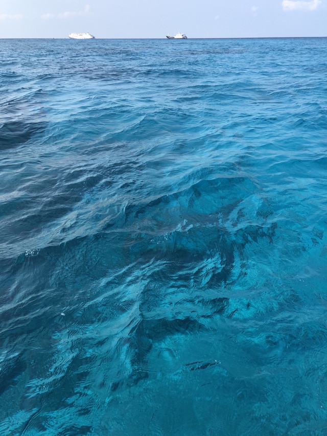 西沙海战烈士陵园