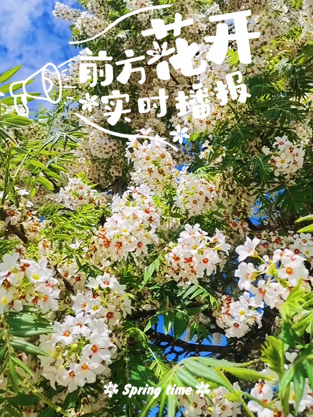 布楞沟