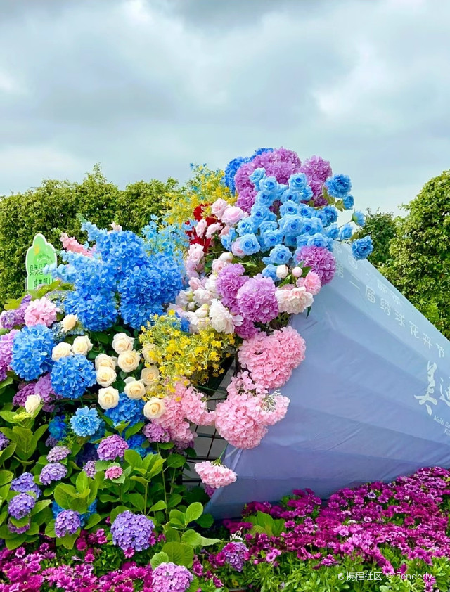 郎溪县美迪花世界
