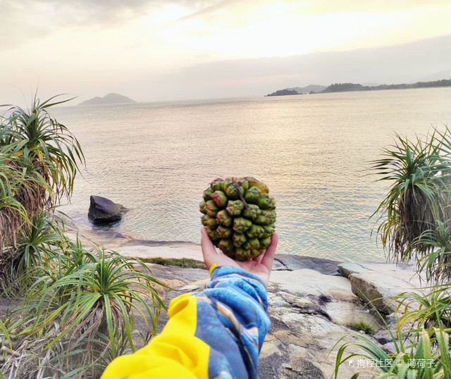 神州半岛第三湾