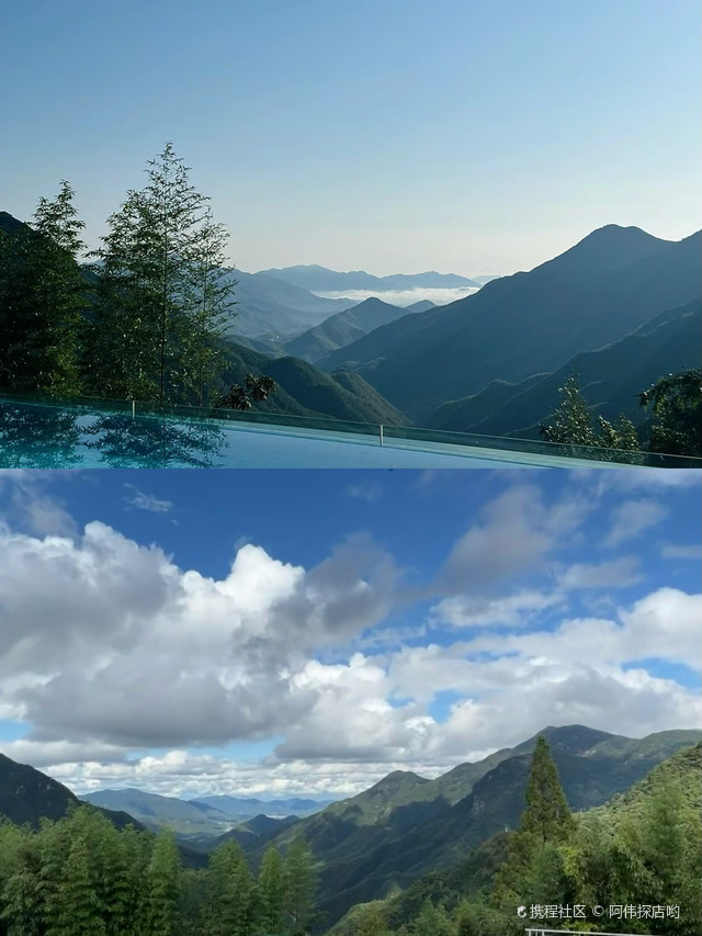 中国金钱松森林公园