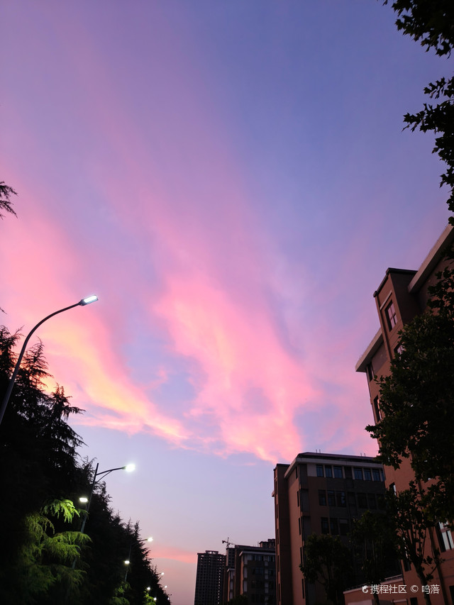 河南农业大学(许昌校区)