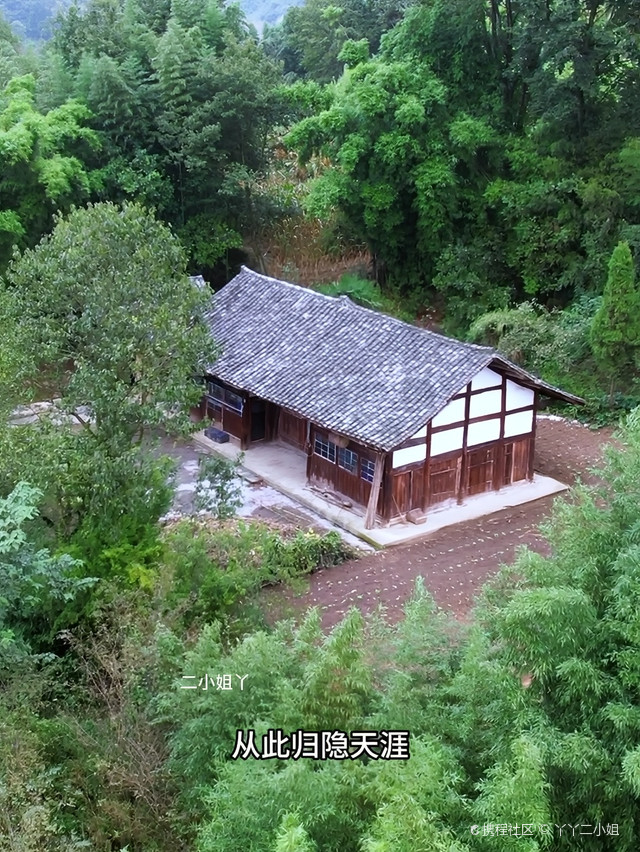 隐居山林民宿