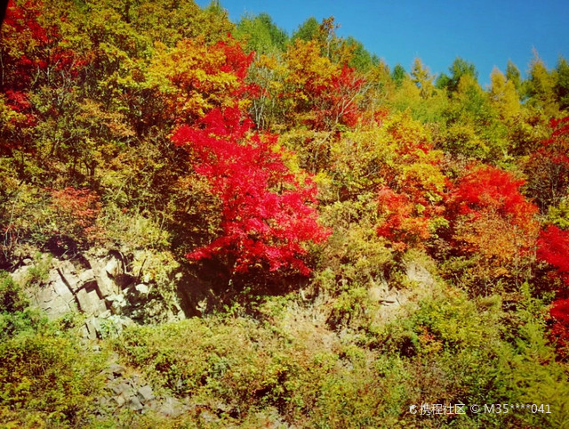 观音山公园