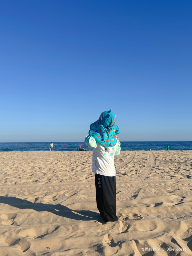 桐海村