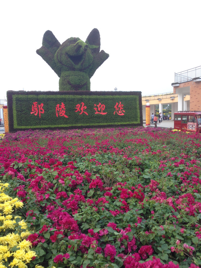 中原花木博览园