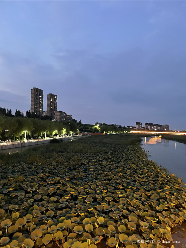 太平早市