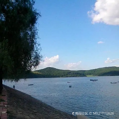 杨木水库