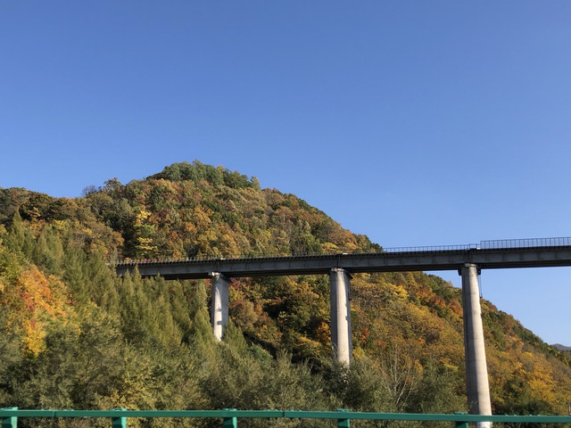 花园口镇