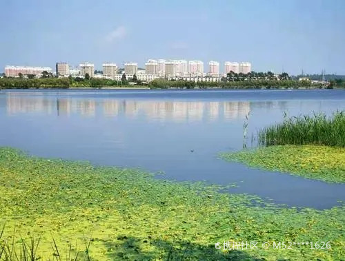 凤鸣湖