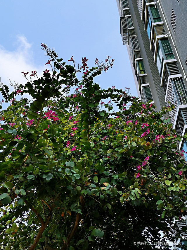 北海市海宁住宅小区