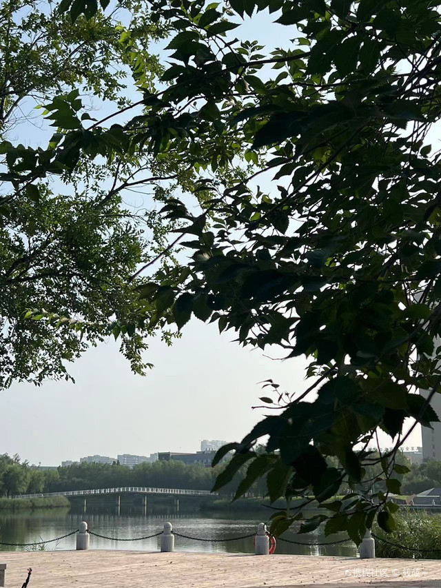 秋月湖公园