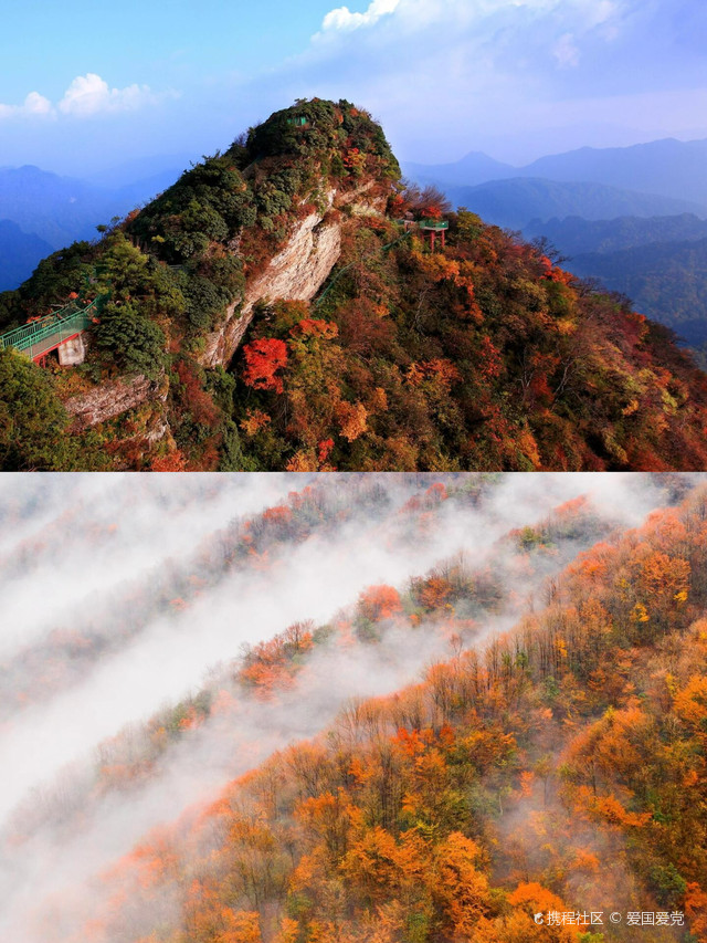 青冈县第四纪古生物化石博物馆