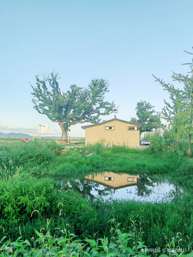 寀卢村