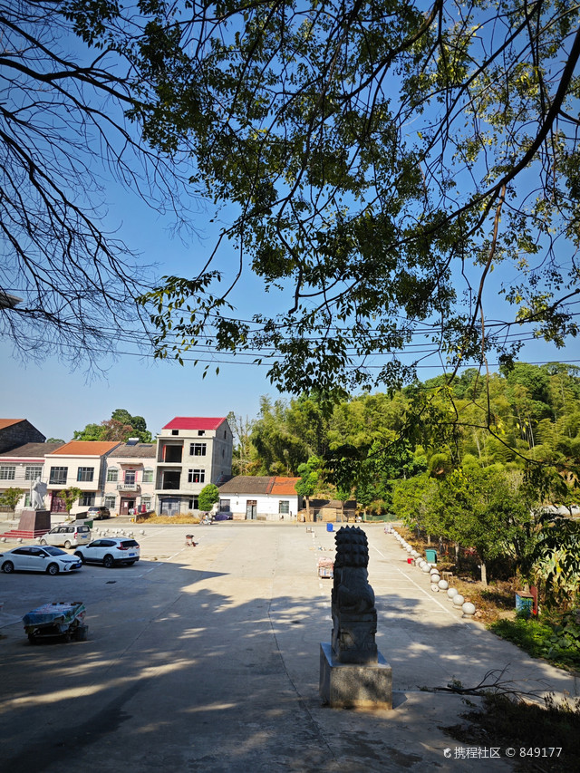 杨林山村