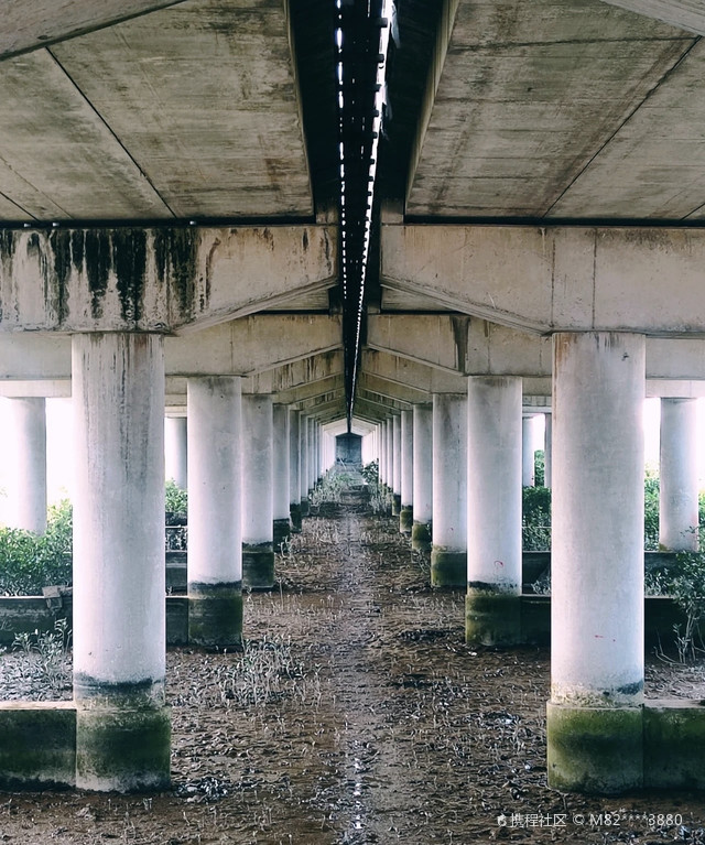 寿长河红树林国家湿地公园宣教中心