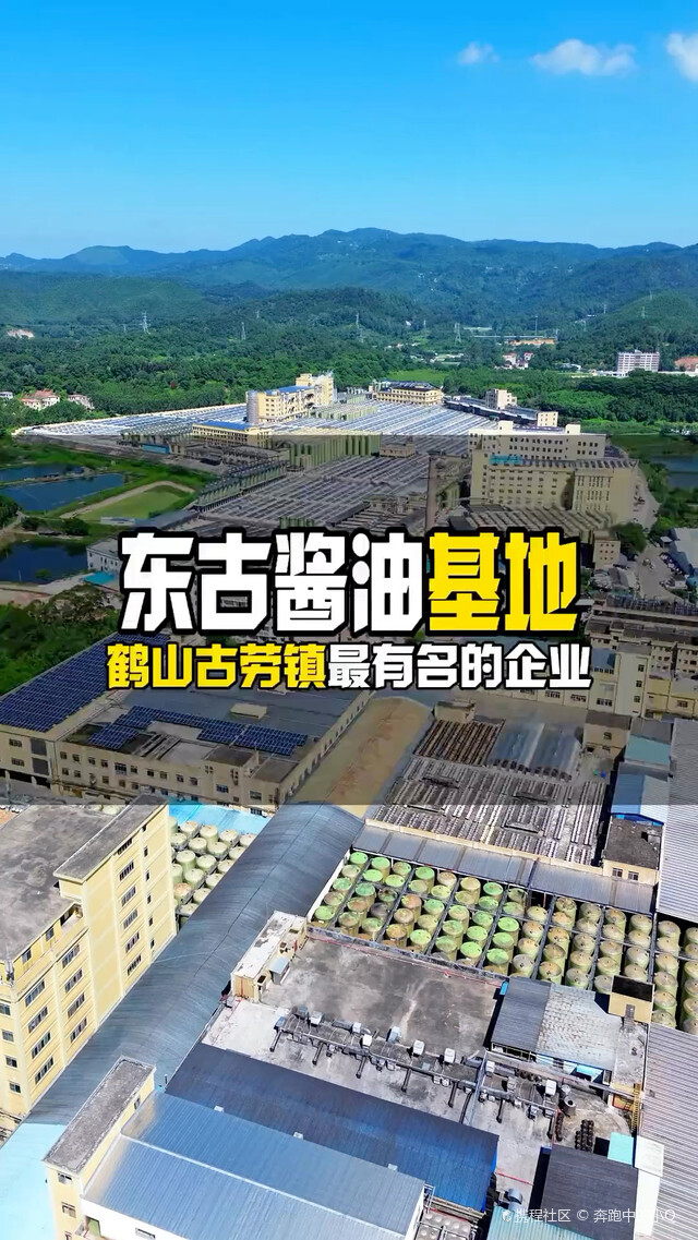 鹤山市东古调味食品有限公司