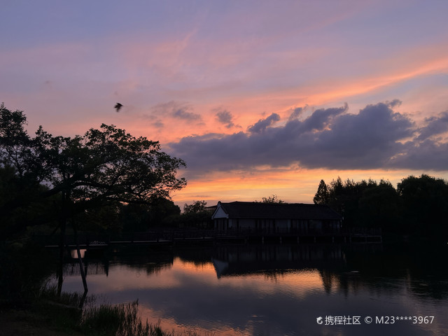 橡子湾