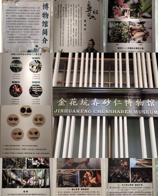 金花坑春砂仁博物馆