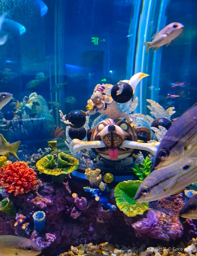 中鱼视界海洋王国(厦门海上世界购物中心店)