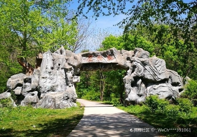 大阳岔镇