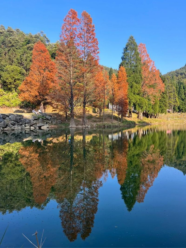 鹿湖顶