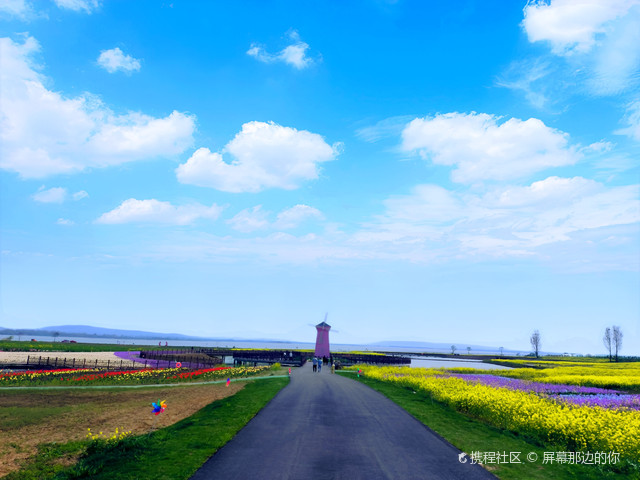 女山湖花海