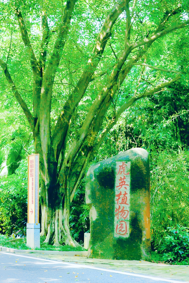 虎英植物园