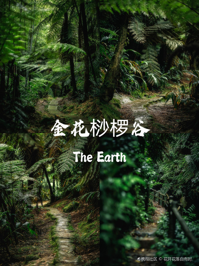桫椤谷风景区