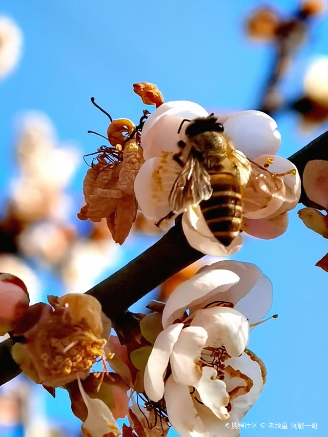 深圳市老玩童博物馆