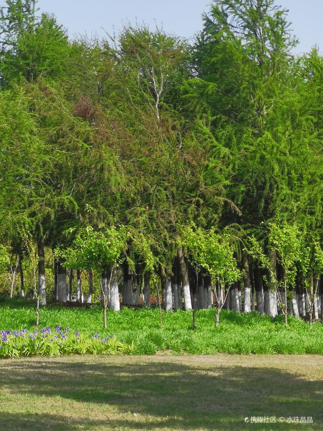 浏河镇