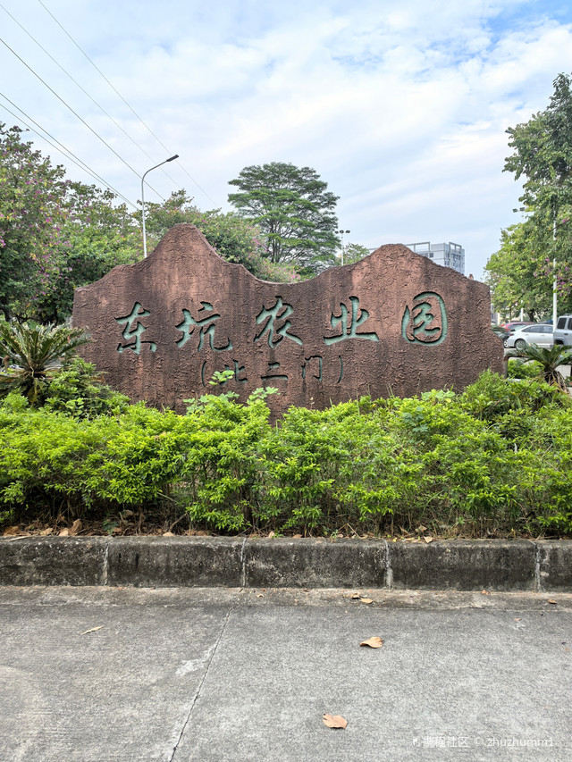 东莞东莞生态园