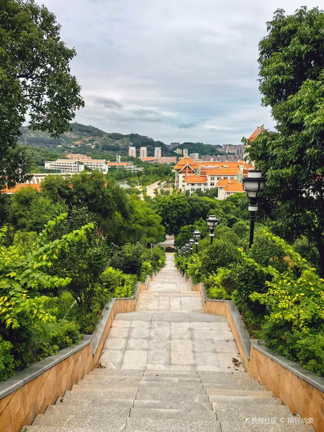 厦门大学(漳州校区)