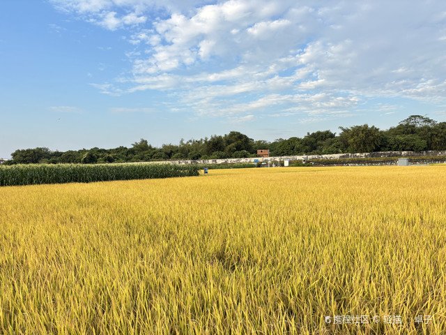 广东省农业科学院-白云试验基地